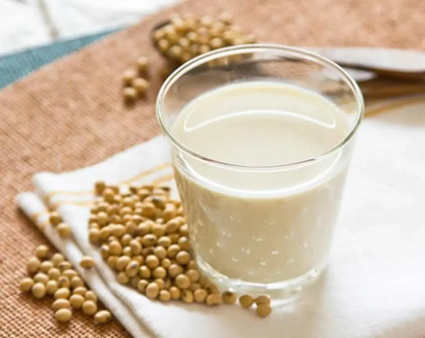 Fresh Homemade Soy Milk
